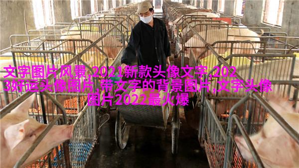 情侣文字头像纯文字图片大全(精选35张)