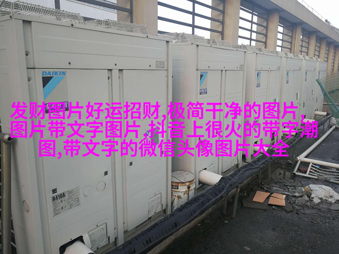 2023年最火的文字头像(精选26张)