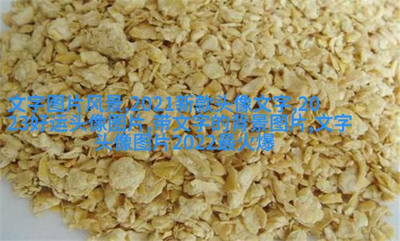 情侣文字头像纯文字图片大全(精选35张)